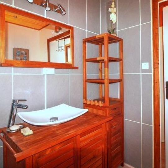  GREEN IMMOBILIER : Maison / Villa | SAINT-DIDIER-EN-VELAY (43140) | 250 m2 | 375 000 € 