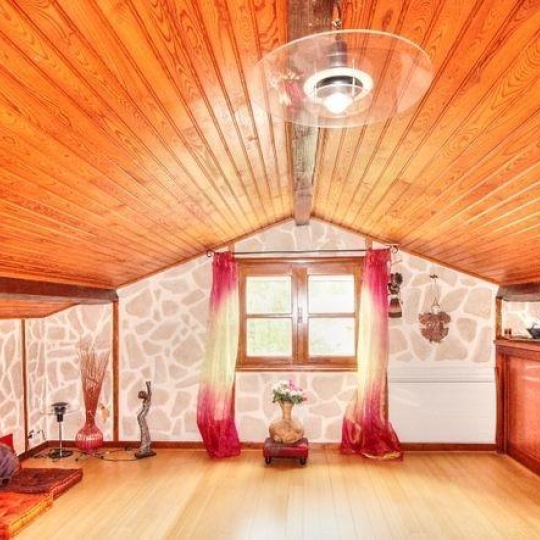  GREEN IMMOBILIER : Maison / Villa | SAINT-DIDIER-EN-VELAY (43140) | 250 m2 | 375 000 € 