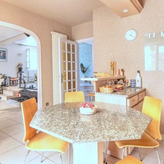  GREEN IMMOBILIER : Maison / Villa | SAINT-DIDIER-EN-VELAY (43140) | 250 m2 | 375 000 € 