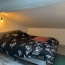  Annonces STETIENNE : Appartement | SAINT-ETIENNE (42100) | 33 m2 | 515 € 
