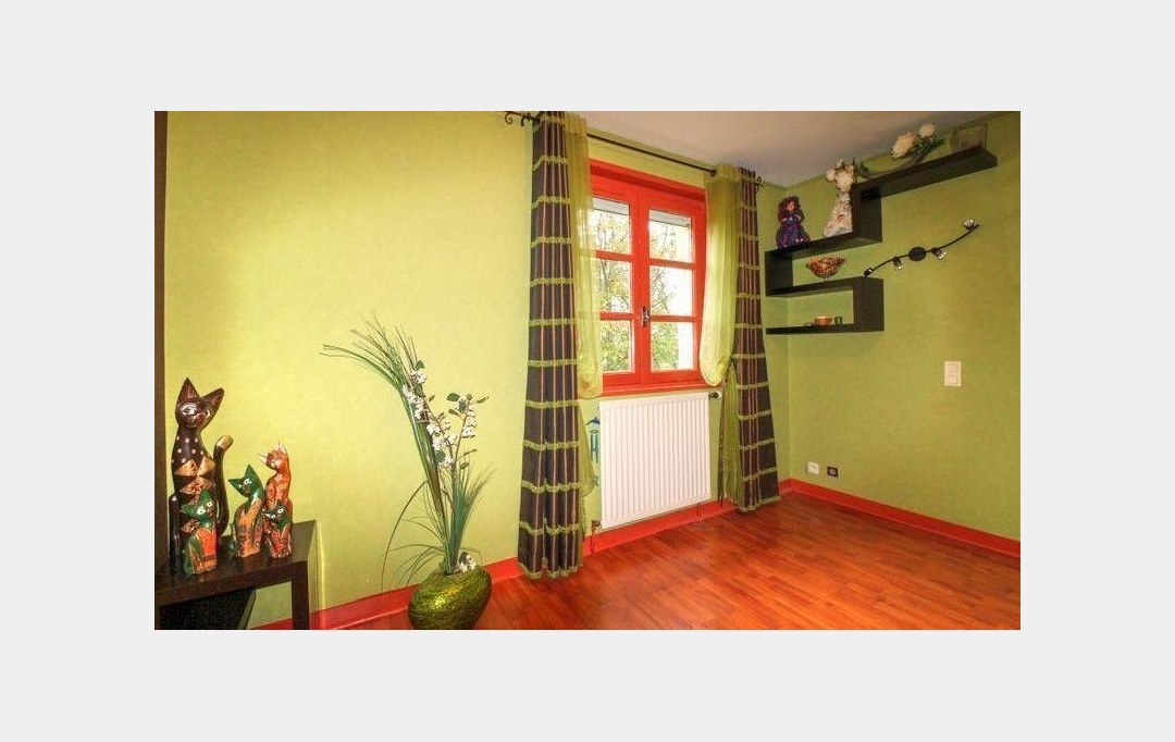 GREEN IMMOBILIER : Maison / Villa | SAINT-DIDIER-EN-VELAY (43140) | 250 m2 | 375 000 € 