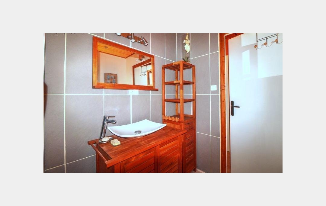 GREEN IMMOBILIER : Maison / Villa | SAINT-DIDIER-EN-VELAY (43140) | 250 m2 | 375 000 € 