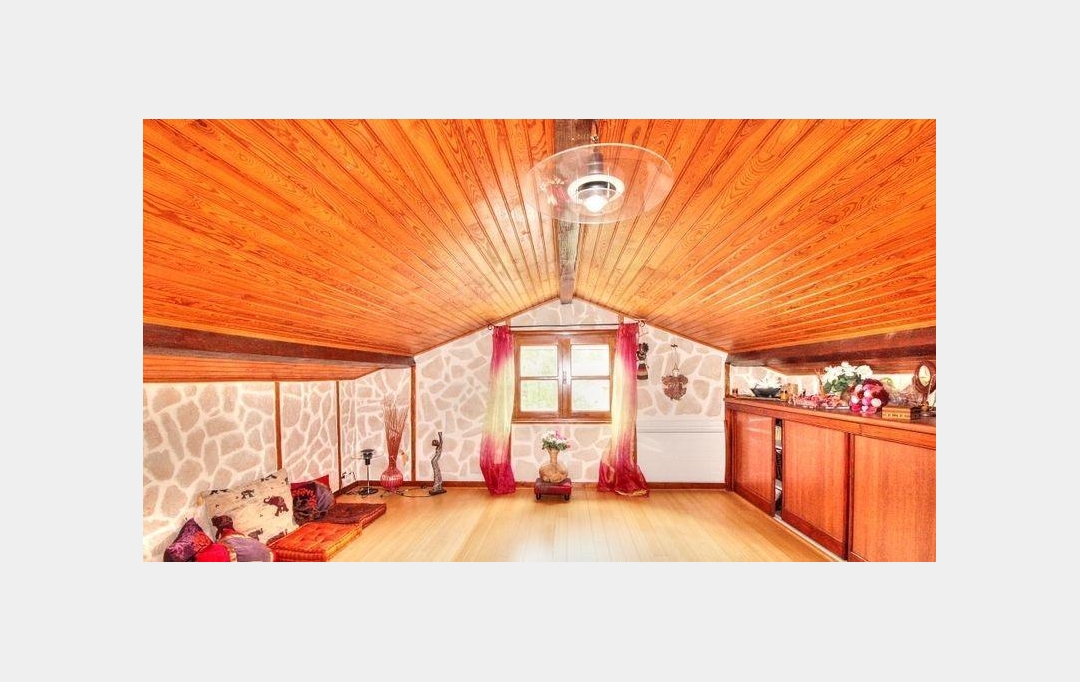 GREEN IMMOBILIER : Maison / Villa | SAINT-DIDIER-EN-VELAY (43140) | 250 m2 | 375 000 € 