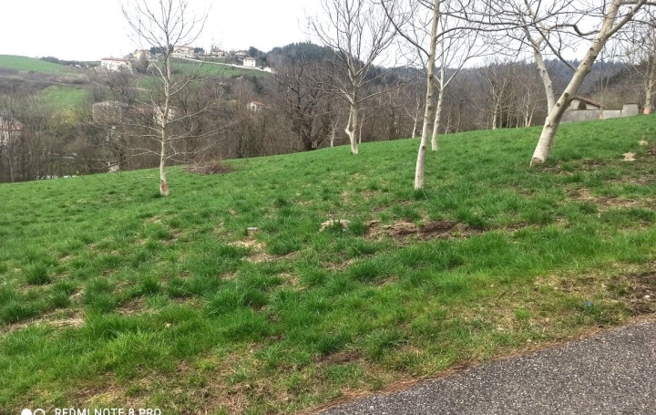 Terrain LA RICAMARIE 89 500 € Terrain LA RICAMARIE 89 500 €